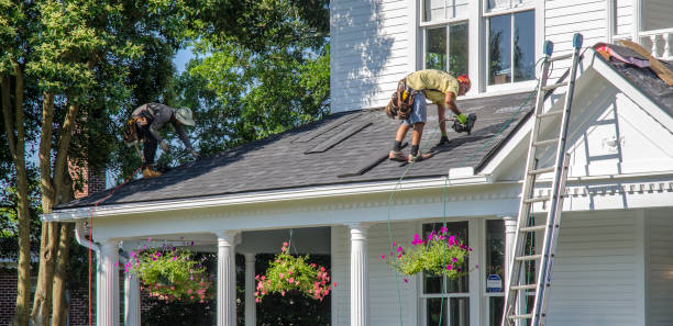 Best Roof Moss and Algae Removal  in Llington, MI